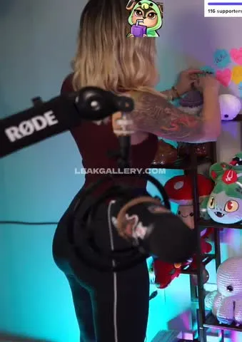 seecatwander