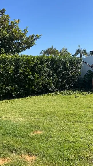 Shelbybilby Bikini Garden Trimming OnlyFans Video Leaked