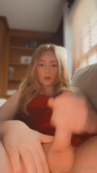 shy_trans