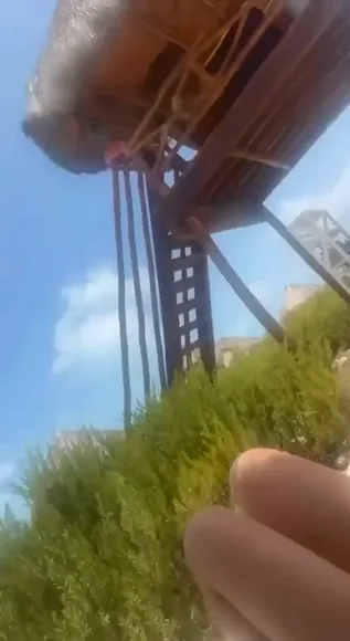 simplyneidaa
