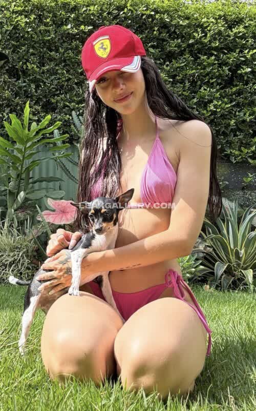 Sofiaatreides Nudes vazados exclusivos do OnlyFans #12104715