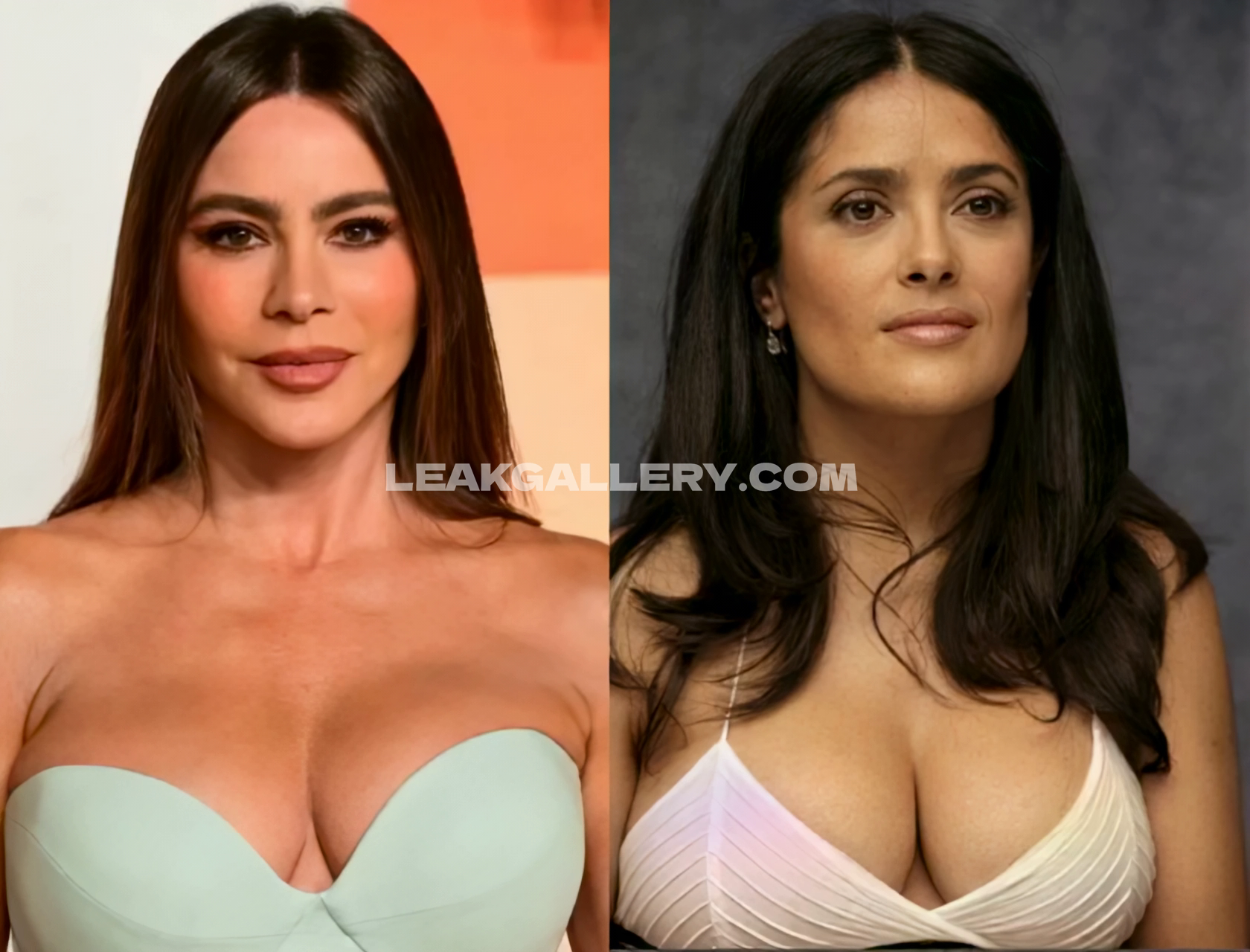 Sofiavergara Nudes vazados exclusivos do OnlyFans #12653001