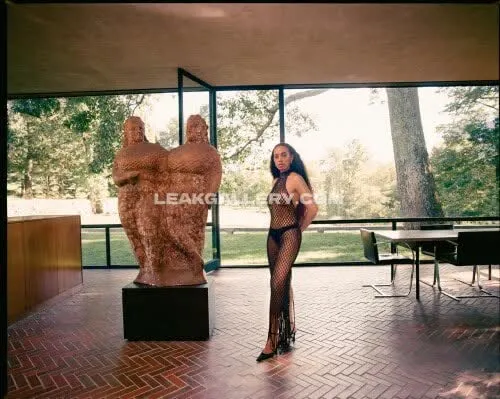 solange_knowles