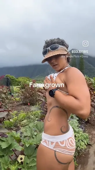 soleyfaye