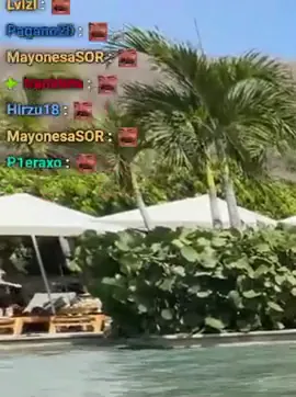 sylvee