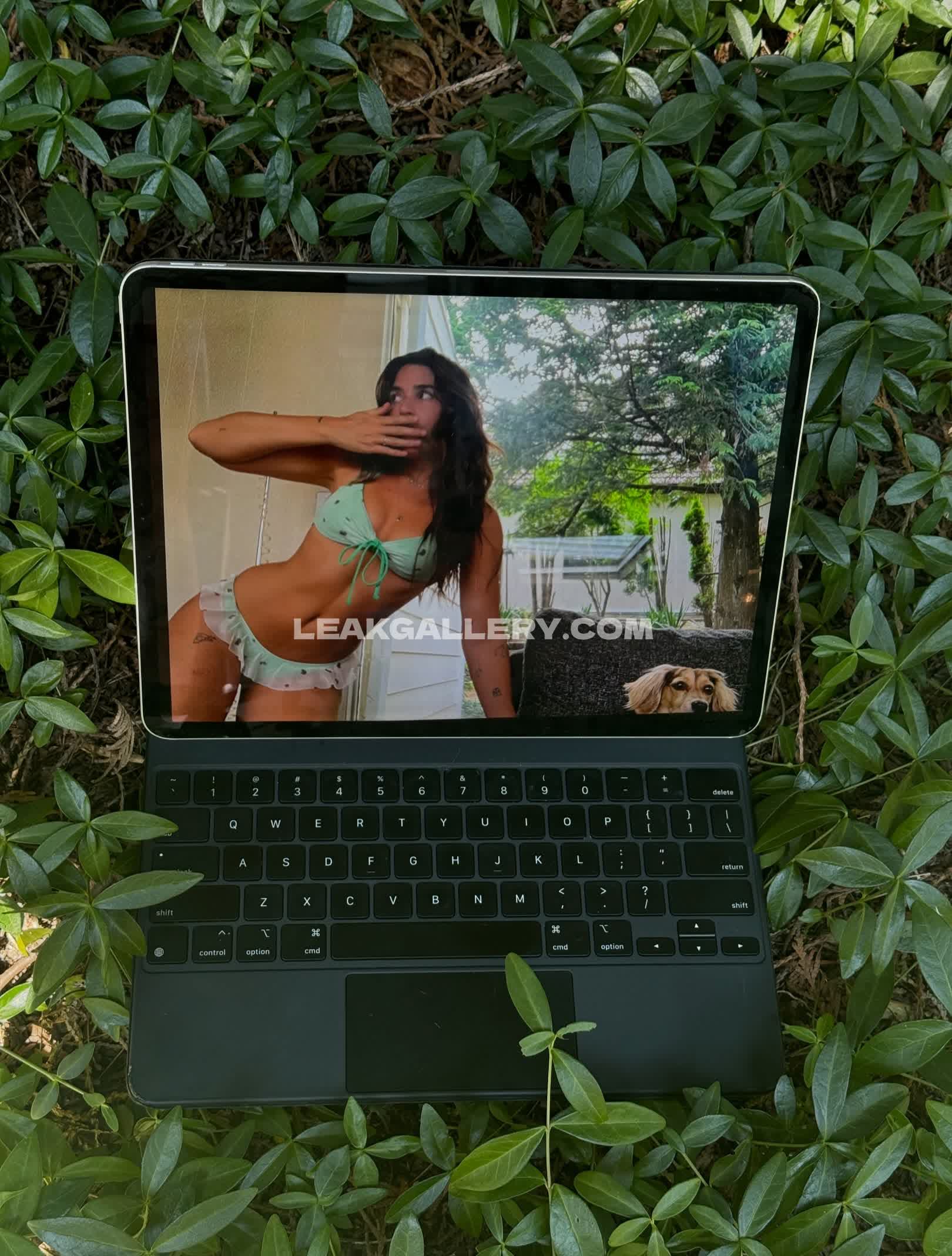 Taviabonetti Exclusive Leaked Nude OnlyFans #13124687
