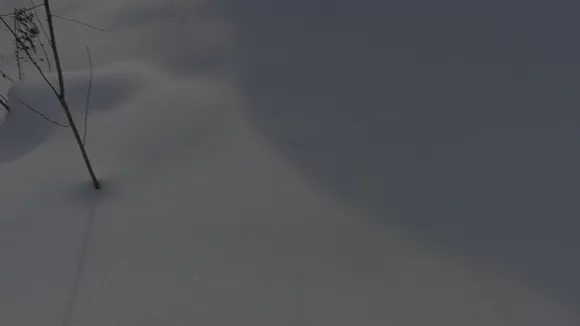 teacher_of_magic video thumbnail