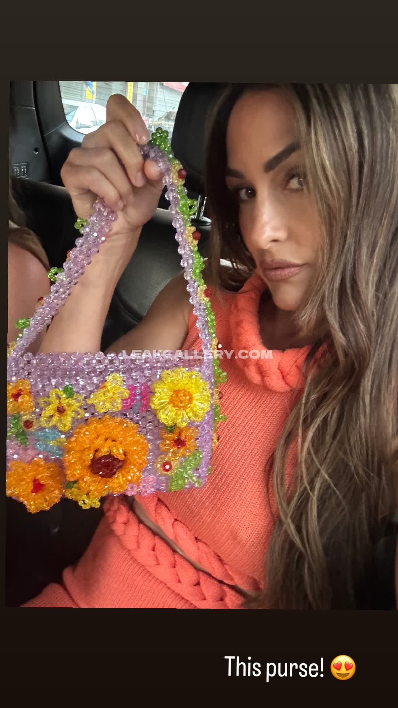 The_bella_twins_nikki_bella_brie_bella Exclusive Leaked Nude OnlyFans #13154655