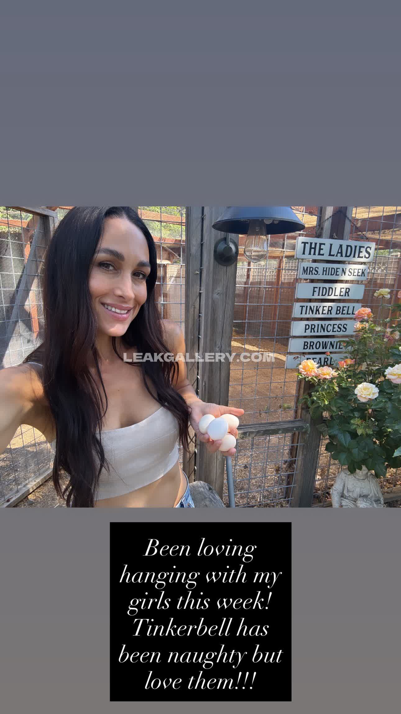 The_bella_twins_nikki_bella_brie_bella Exclusive Leaked Nude OnlyFans #12844151