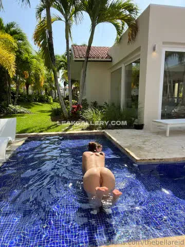 thebellareid