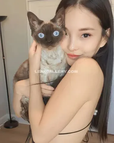 thecodemiko