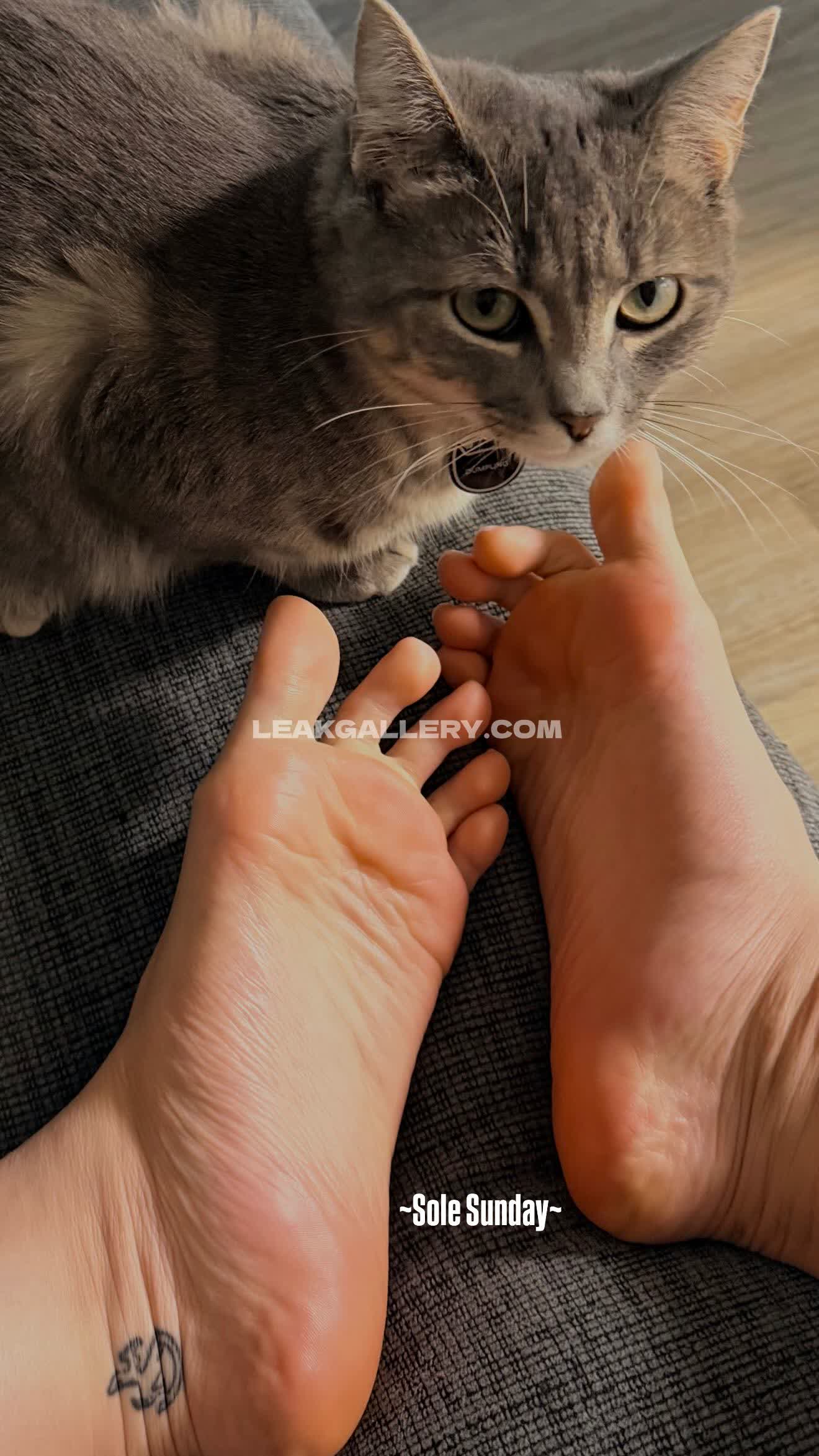 Tray.fitfever Exclusive Leaked Nude OnlyFans #12518771