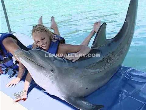 trishstratuscom