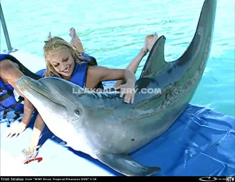 trishstratuscom