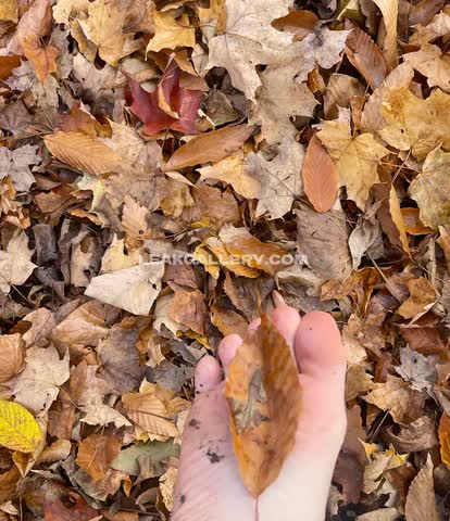 Tsukityan Эксклюзивная утечка обнаженных OnlyFans #14855727