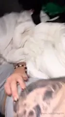 Turtlegirlfit Tattooed Thighs Exposed OnlyFans Video Leaked