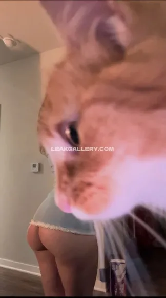 viviennelifts