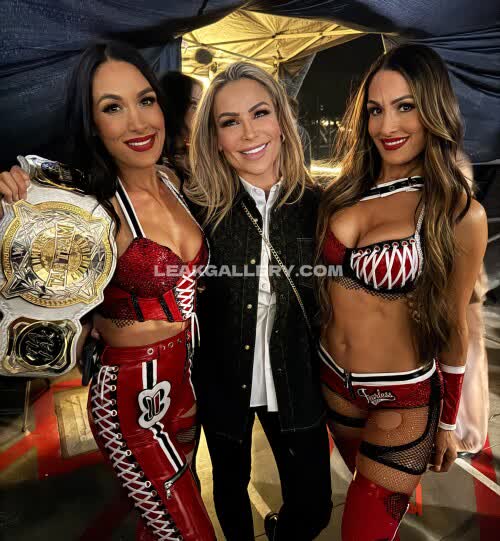 Wwe_natalya_neidhart Exclusive Leaked Nude OnlyFans #12160006