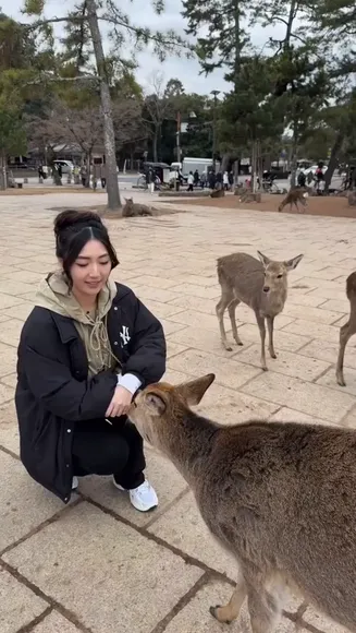 xchocobars
