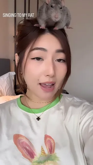 xchocobars