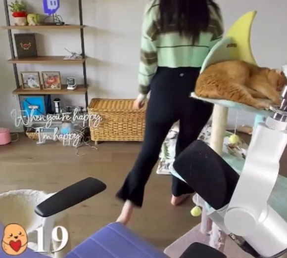xchocobars