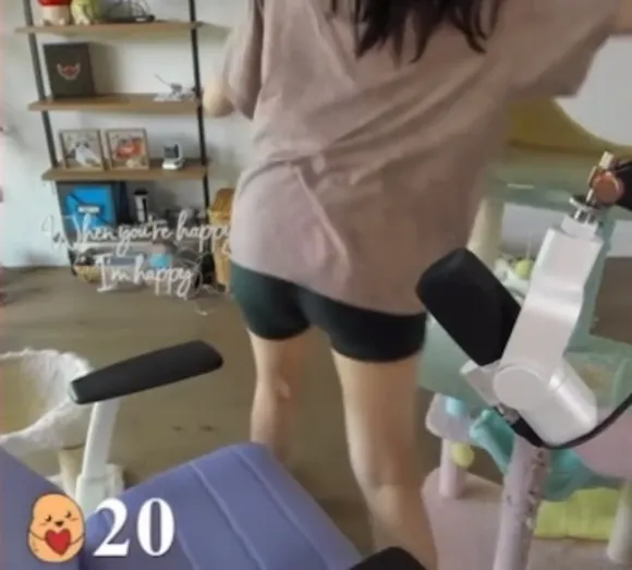 xchocobars