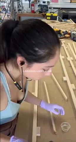 xylafoxlin