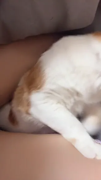 Yukitorisauce Legs With Striped Panties OnlyFans Video Leaked