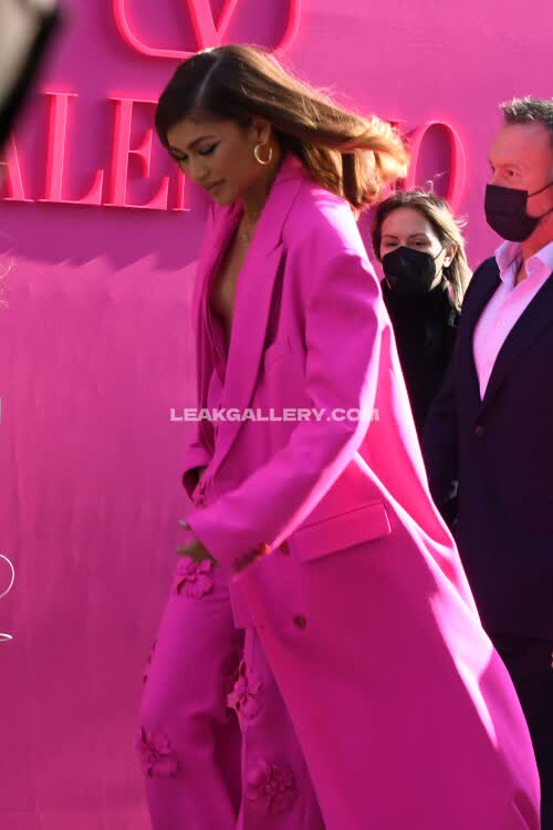 Zendaya Exclusive Leaked Nude OnlyFans #12107780