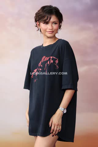 Zendaya Exclusive Leaked Nude OnlyFans #14887842