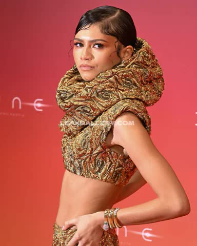 Zendaya Exclusive Leaked Nude OnlyFans #14851369