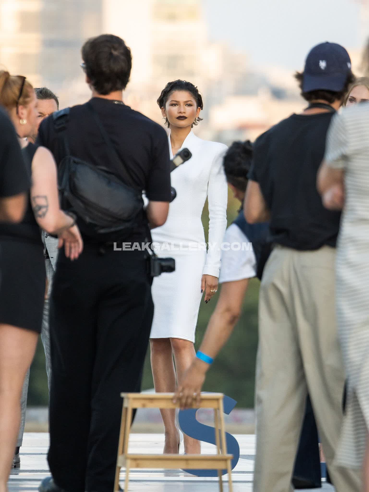 Zendaya Exclusive Leaked Nude OnlyFans #13043340