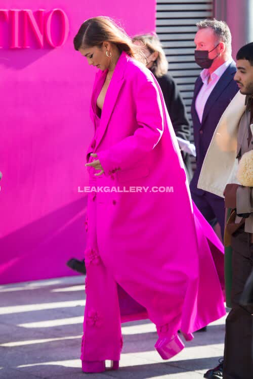 Zendaya Exclusive Leaked Nude OnlyFans #12107753