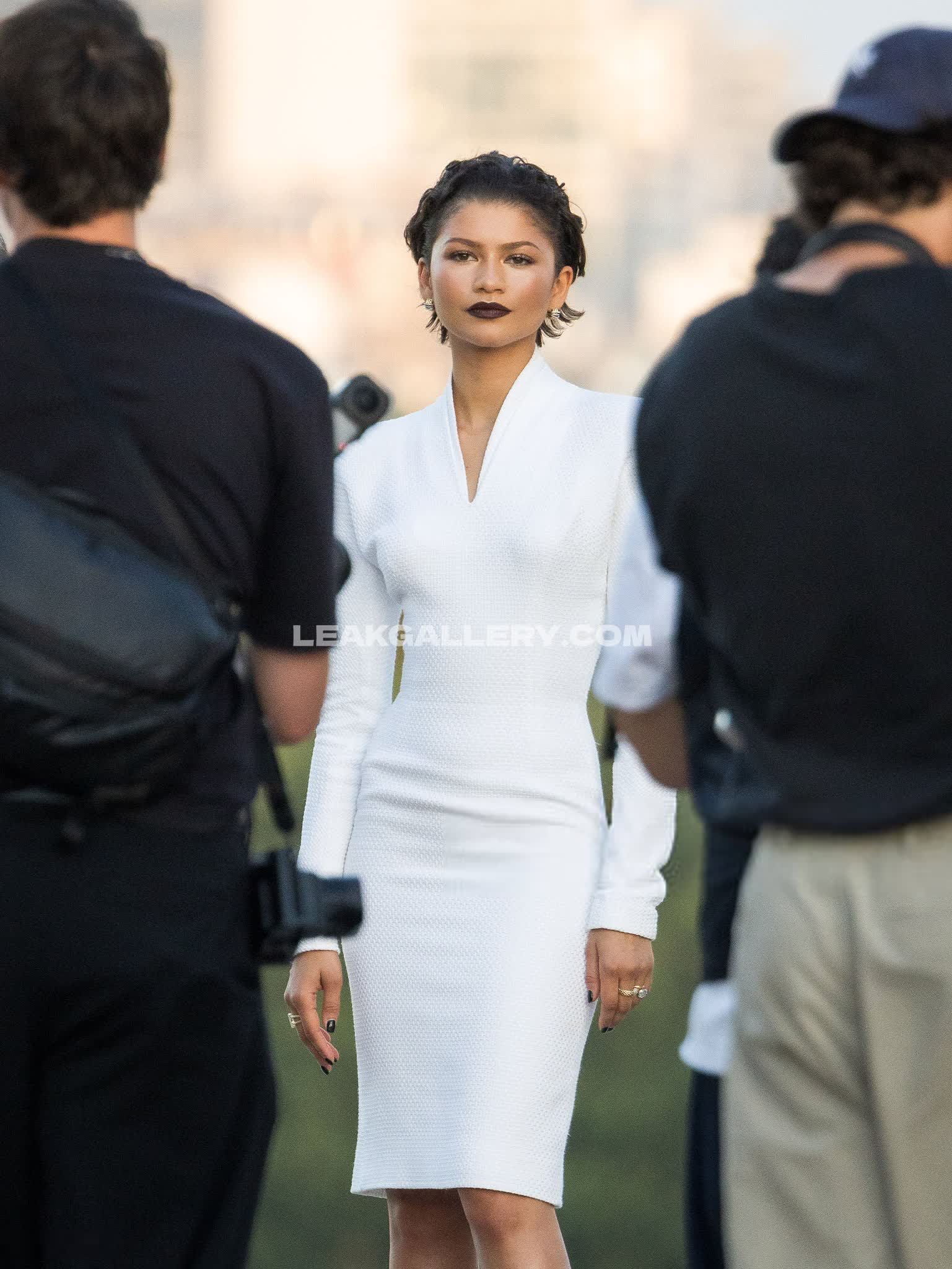 Zendaya Exclusive Leaked Nude OnlyFans #13043375