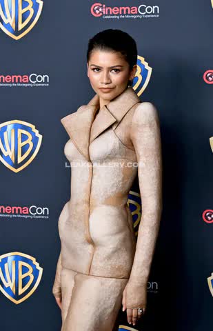 Zendaya Exclusive Leaked Nude OnlyFans #14877361