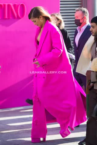 Zendaya Exclusive Leaked Nude OnlyFans #14863242
