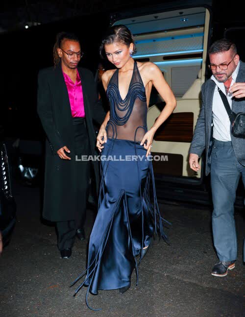 Zendaya Exclusive Leaked Nude OnlyFans #12108016
