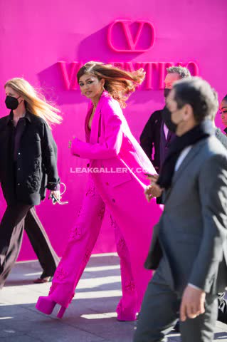 Zendaya Exclusive Leaked Nude OnlyFans #14815657