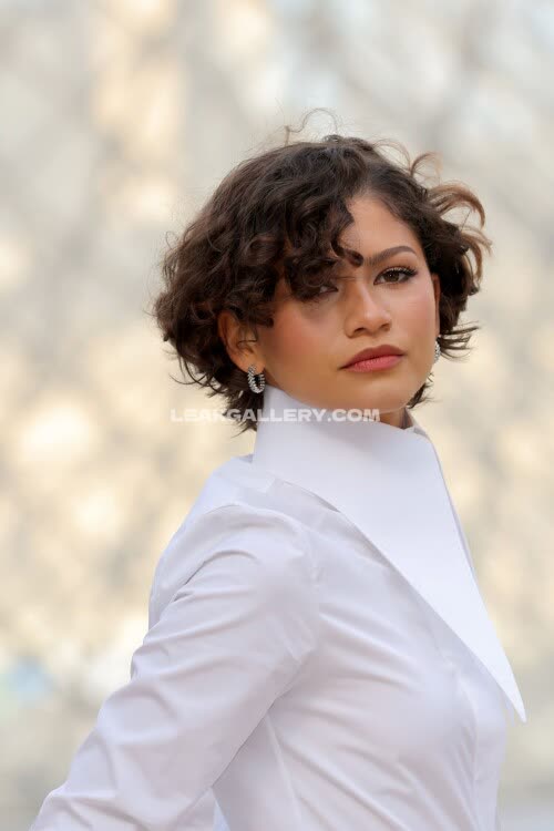 Zendaya Exclusive Leaked Nude OnlyFans #12107754