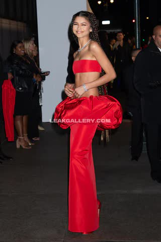 Zendaya Exclusive Leaked Nude OnlyFans #14872631